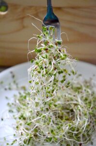 broccoli sprouts gf91ae59b4 1280