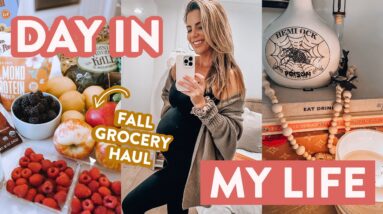 DAY IN THE LIFE | Trader Joe's grocery haul + healthy pizza recipe & what's in my hospital bag