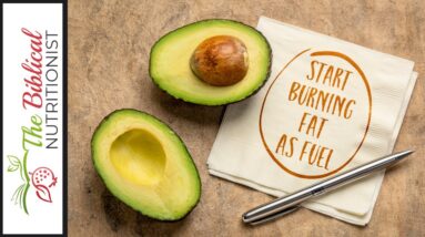 3  Simple Ways On How To Burn Fat Fast | Small Changes, Great Results!