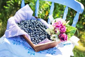 blueberries 870514 1920
