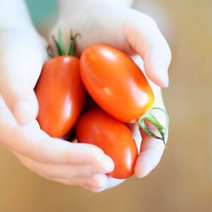 Photo Colorful vegetables