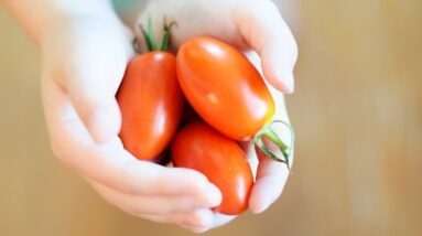 Photo Colorful vegetables